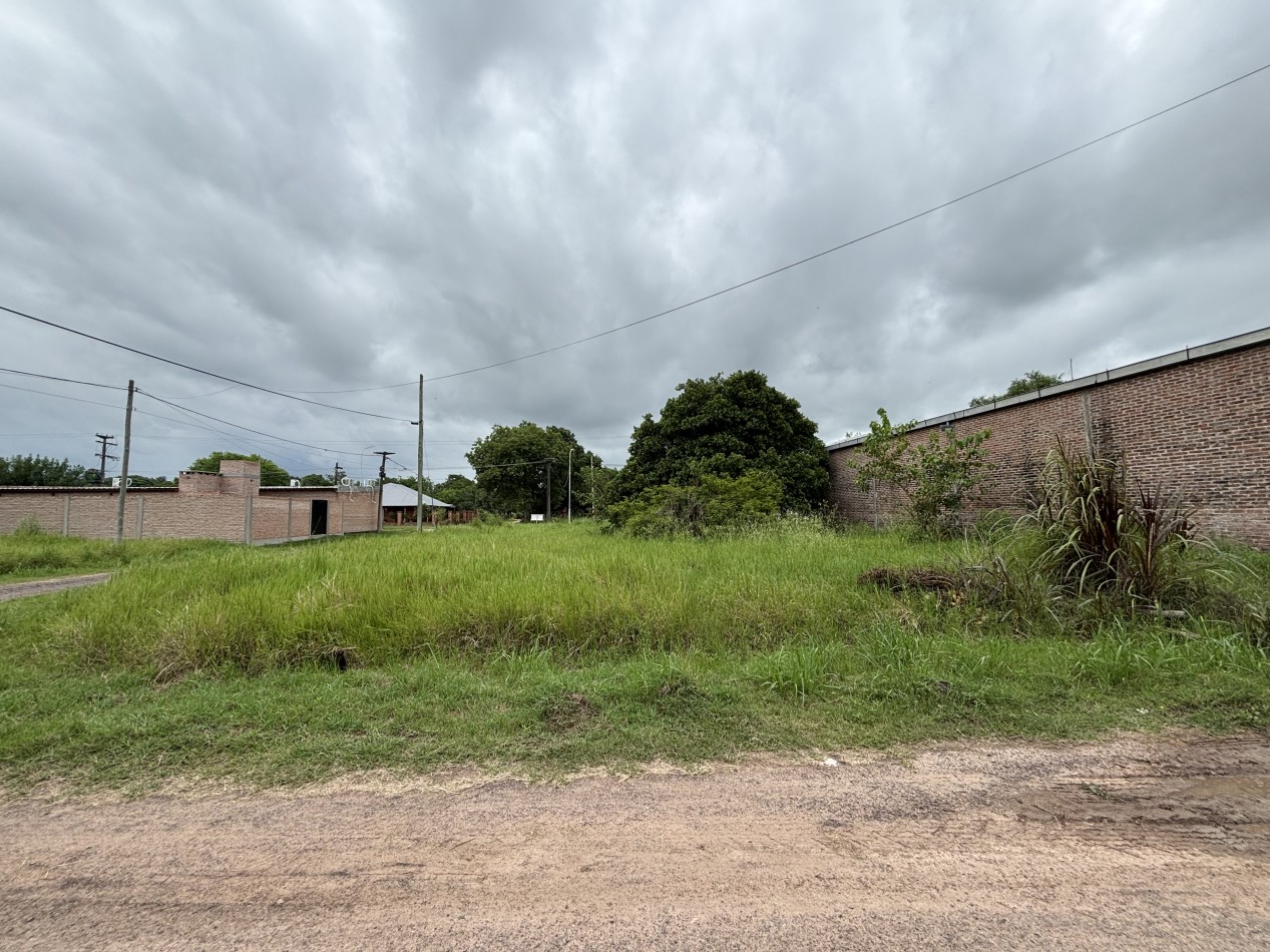 El Terreno Perfecto en la Ciudad Botanica: 800 m2 con Doble Frente para Tus Sueños