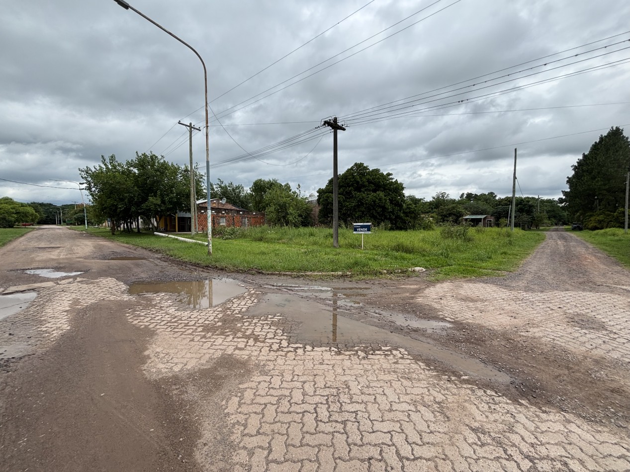 El Terreno Perfecto en la Ciudad Botanica: 800 m2 con Doble Frente para Tus Sueños