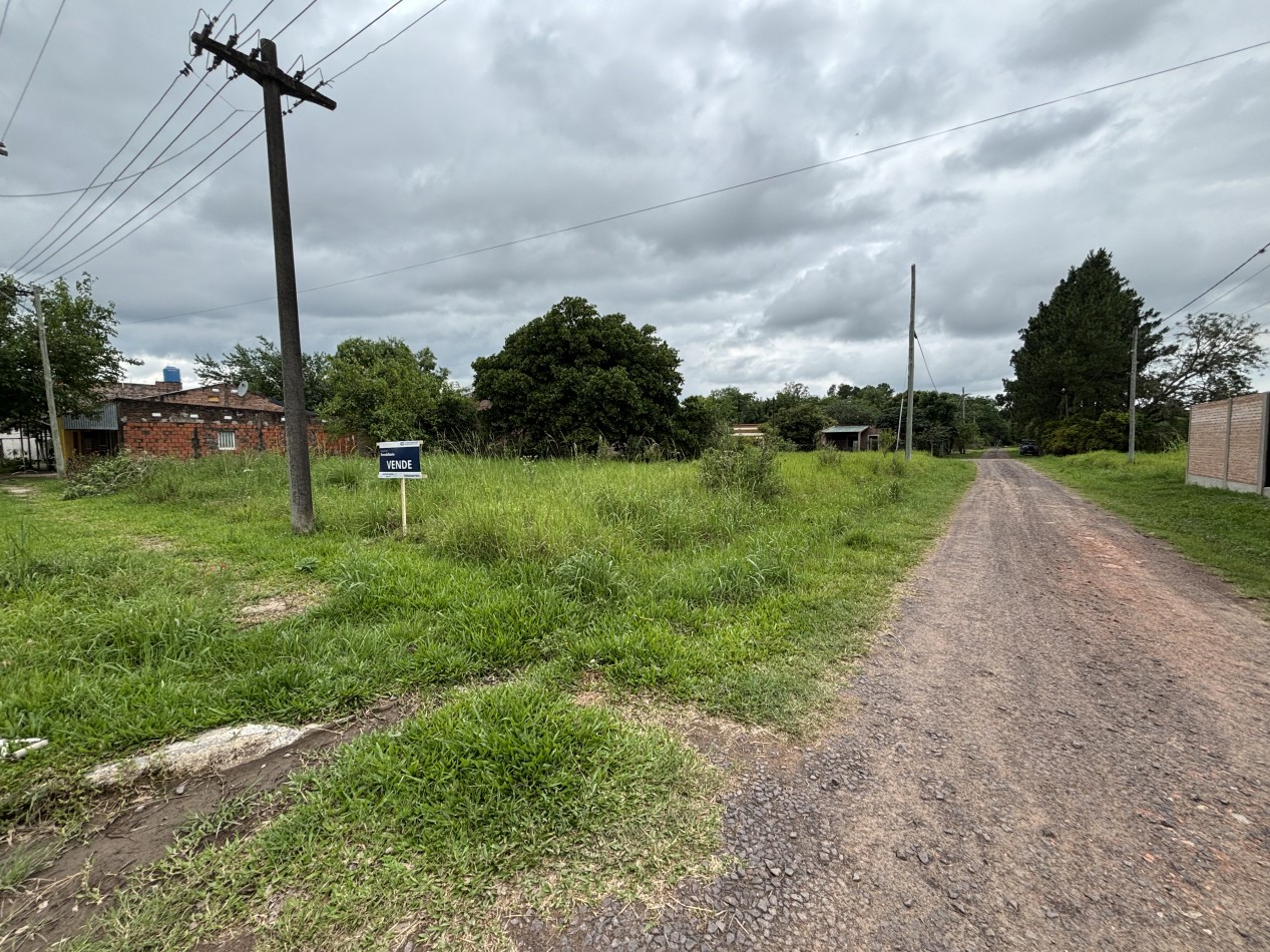 El Terreno Perfecto en la Ciudad Botanica: 800 m2 con Doble Frente para Tus Sueños